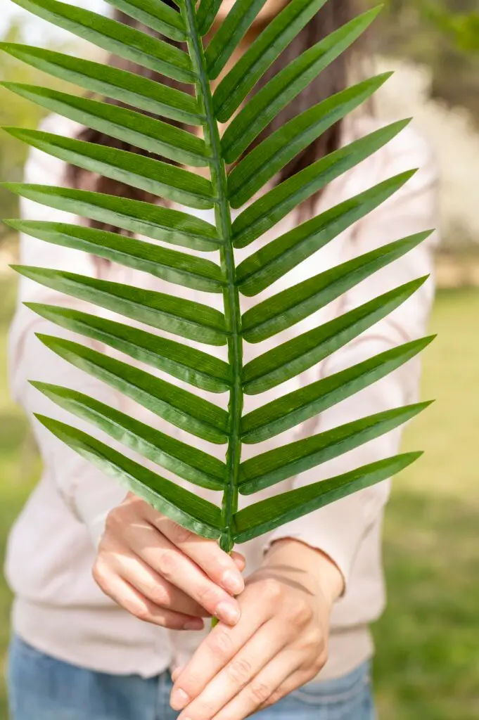 Woman holding a leaf, symbolizing natural skincare and detox