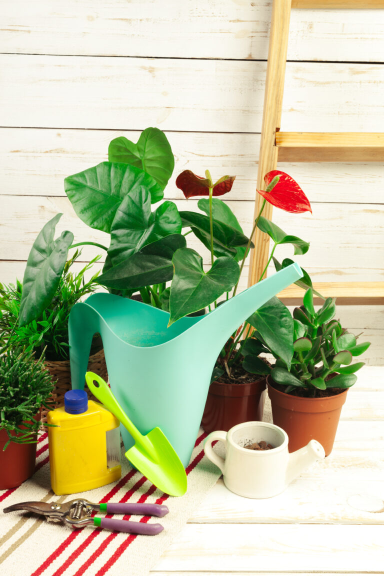 Composition of essential garden tools for sustainable gardening in small spaces
