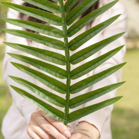 Natural Skincare and Detox with Plant-Based Ingredients Woman holding a leaf, symbolizing natural skincare and detox